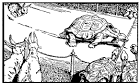 A Blog of Beasts!: Aesop's Fables translated and transmitted in ...