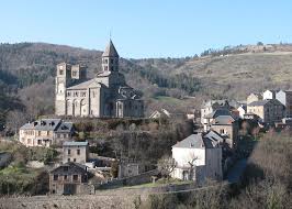 Image result for saint nectaire