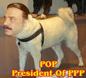 asif zardari by ~nom831 on