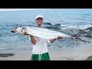 Monster Shark Mackerel!!
