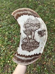 Attēlu rezultāti vaicājumam “Ganoderma applanatum”