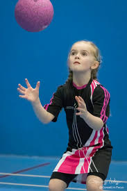 Image result for Greencroft Netball Club