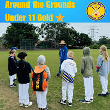 Image result for Westleigh Cricket Club