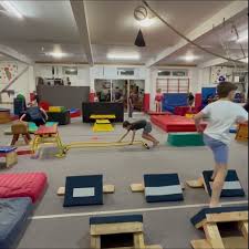 Image result for Torbay Olympic Gymnastics Club