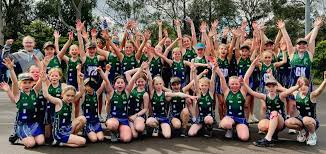 Image result for Lawn Netball Club