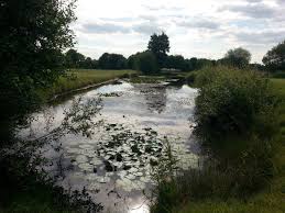 Image result for Hurtmore Golf Club