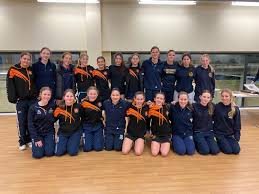 Image result for Wey Valley Netball Club