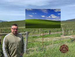 Image result for love windows xp wallpaper