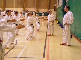 Image result for Sendai Kushiro Karate