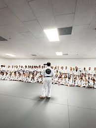 Image result for Team Renegade BJJ & Judo
