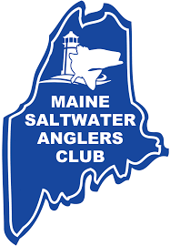 Image result for Paignton Sea Anglers Association