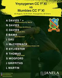 Image result for Ynysygerwn Cricket Club