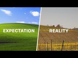 Image result for love windows xp wallpaper