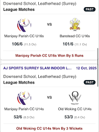 Image result for Leatherhead & Cobham Cc