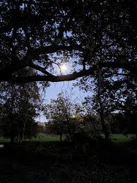 Image result for Oread Mountaineering Club, Derbyshire