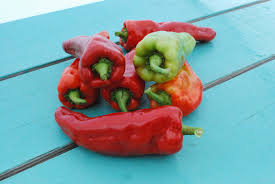Afbeeldingsresultaat voor aconcagua sweet pepper