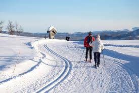 Image result for Scandinavian slope and cross country skiing