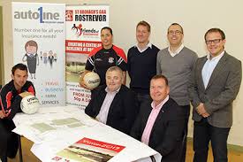 Image result for Rostrevor Hurling Club