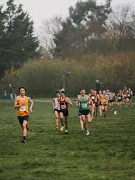 Image result for Herne Hill Harriers