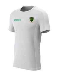 Image result for Chelmarsh Cricket Club