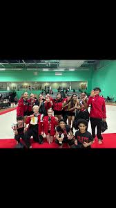 Image result for Elite Recreational Gymnastics Club
