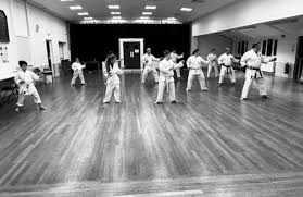 Image result for Twyford Higashi Karate Club