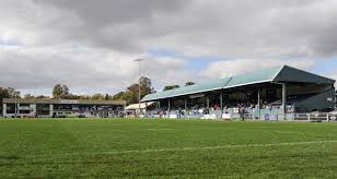 Image result for Swinton Lions