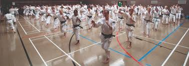 Image result for Imperial College Shorinji Kempo Society
