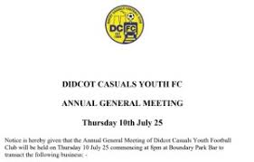 Image result for Didcot Ladies Casuals Football