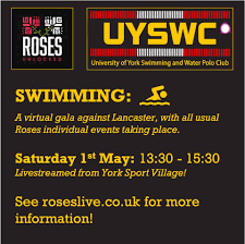 Image result for York University Swimming & Water Polo Club