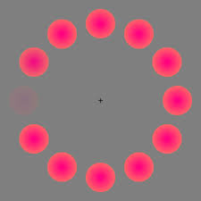 Image result for Lilac Chaser