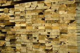 Attēlu rezultāti vaicājumam “Postia sericeomollis”