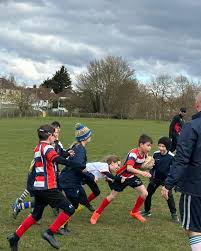 Image result for Watford Rugby Football Club