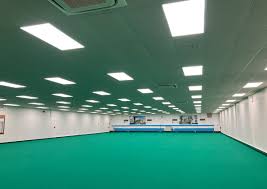 Image result for Ffrith Indoor Bowls Club