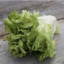 Image result for Endivie