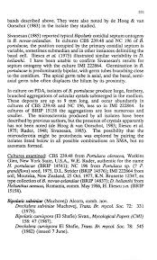 Attēlu rezultāti vaicājumam “Pistillaria sp.”