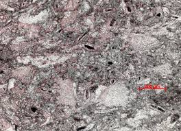 Image result for SEM micrographs of Novaculite Arkansas