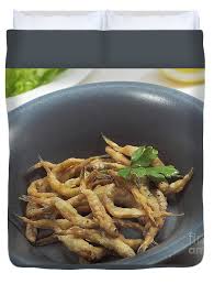 Image result for Osmerus eperlanus