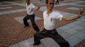 Image result for Hull Kung Fu