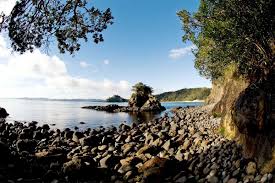 Image result for new chums beach