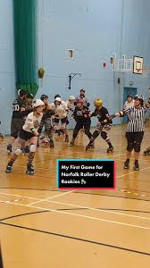 Image result for The Norfolk Brawds Roller Derby