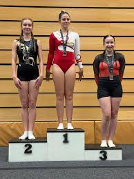 Image result for Cambourne Comets Trampoline Club