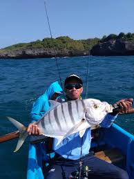 Image result for Caranx lugubris