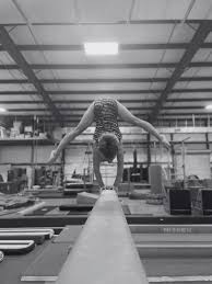 Image result for Epping Forest Elite Gymnastics Club