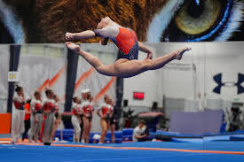 Image result for Wolverhampton Gymnastics Club