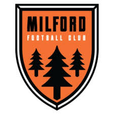 Image result for Milford Green Football Club