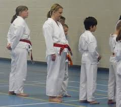 Image result for Haxby karate club