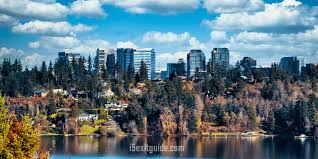 Image result for Bellevue