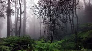 Image result for синхараджа