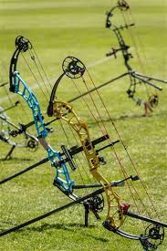 Image result for Cambridge University Bowmen